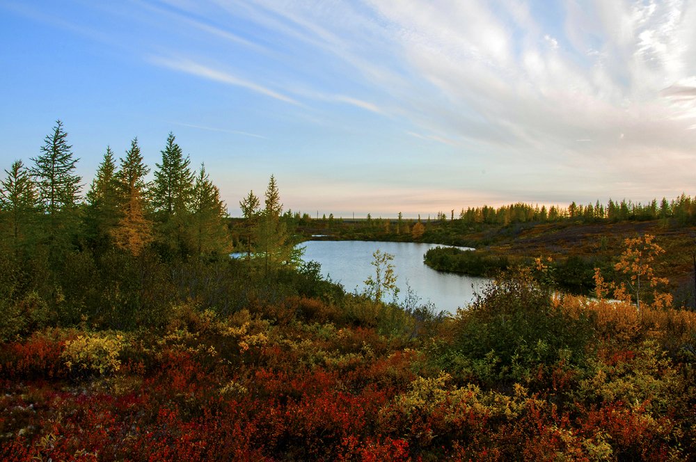 Краски осени