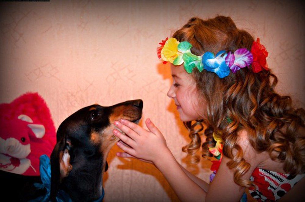 Я и мой питомец