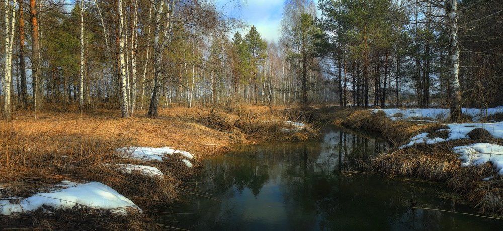 Весенний денёк