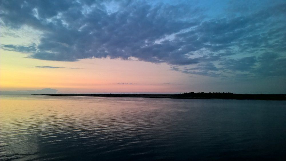 Photo #1049659