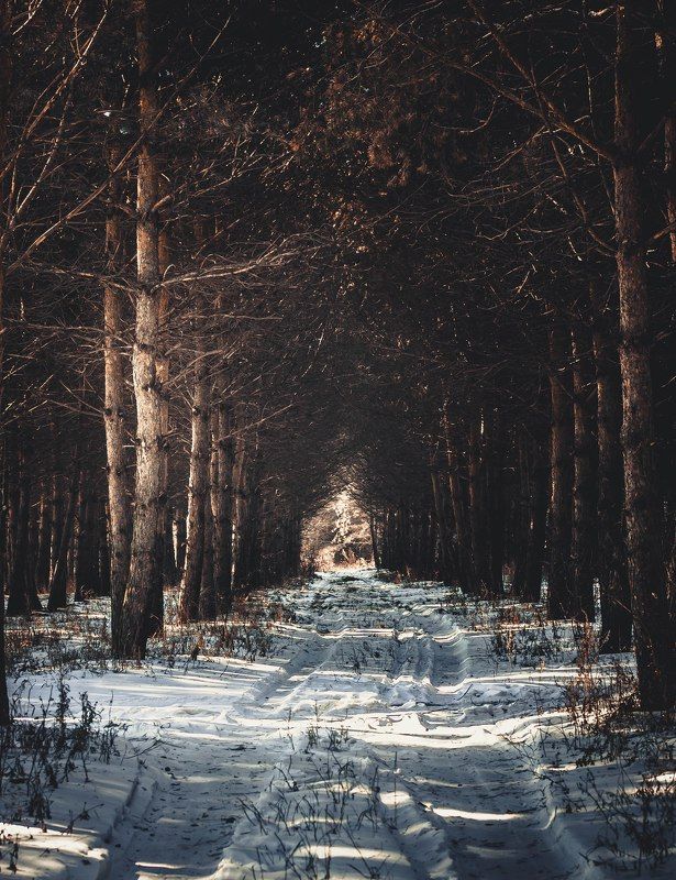 Анастасия, Russia