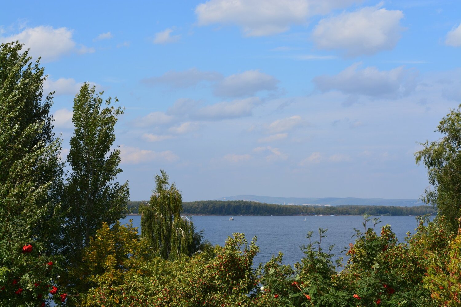 Photo #1049749