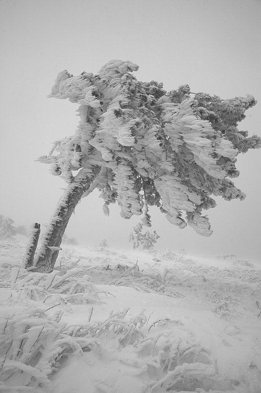 Анастасия Тупицына, Russia