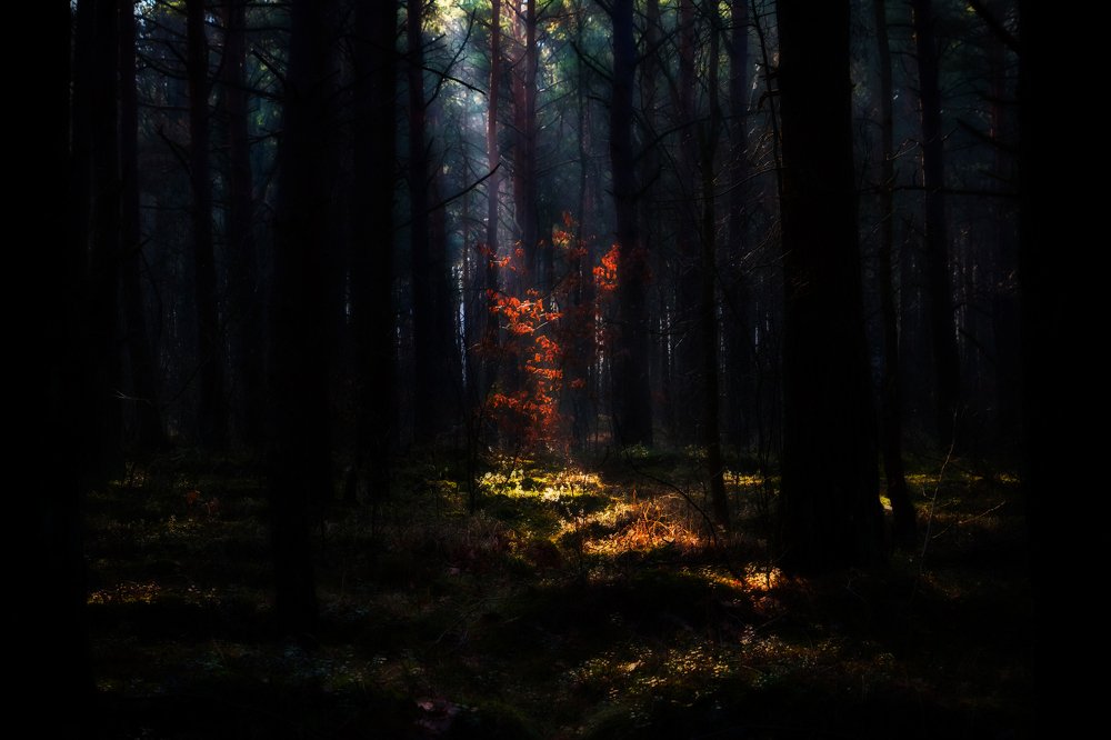 В сказочном мгновении