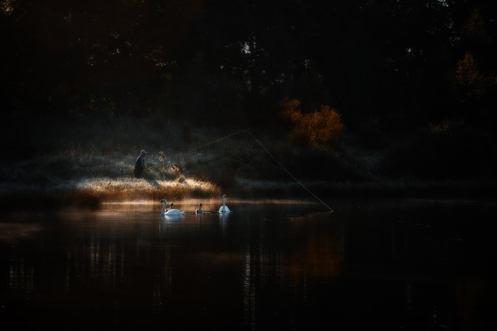 В лесном пруду