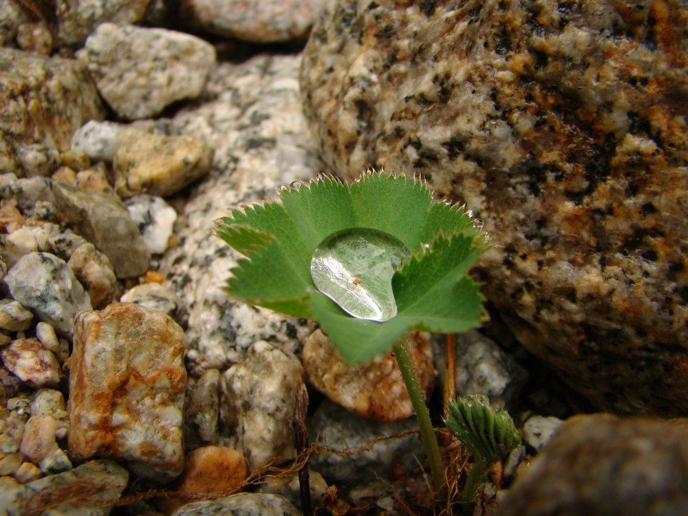 После дождя