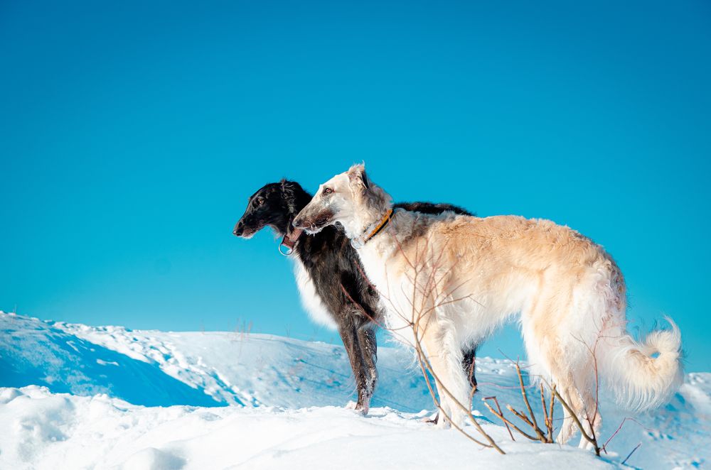 Photograph by Виолетта Бастет