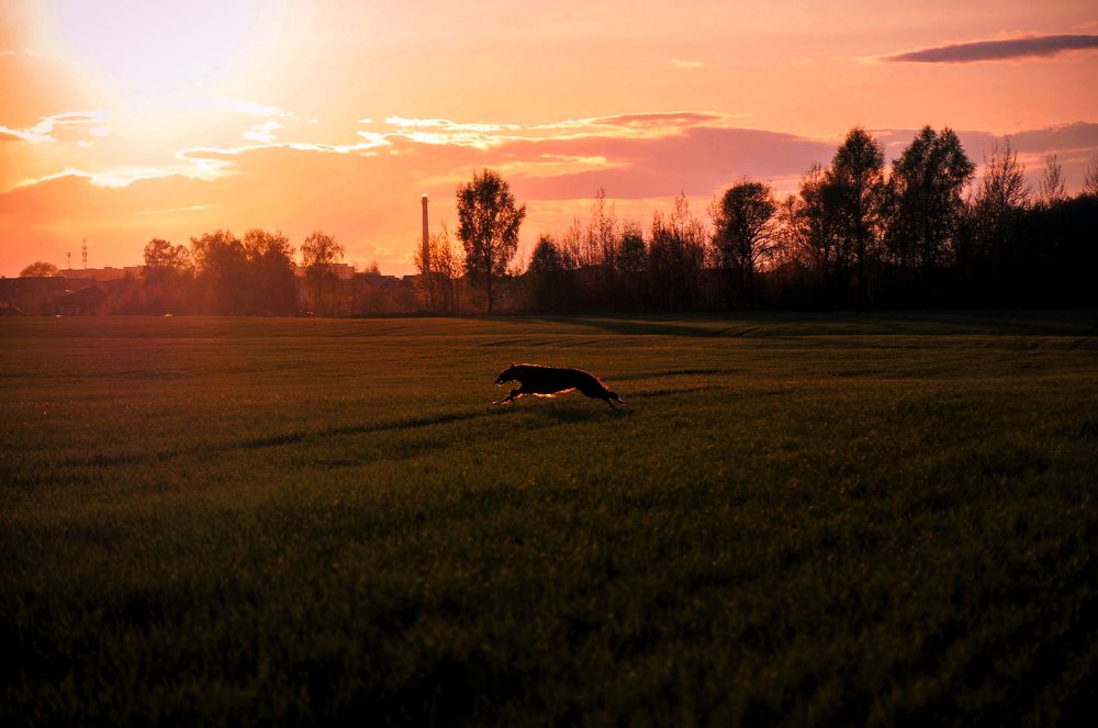 Photograph by Виолетта Бастет