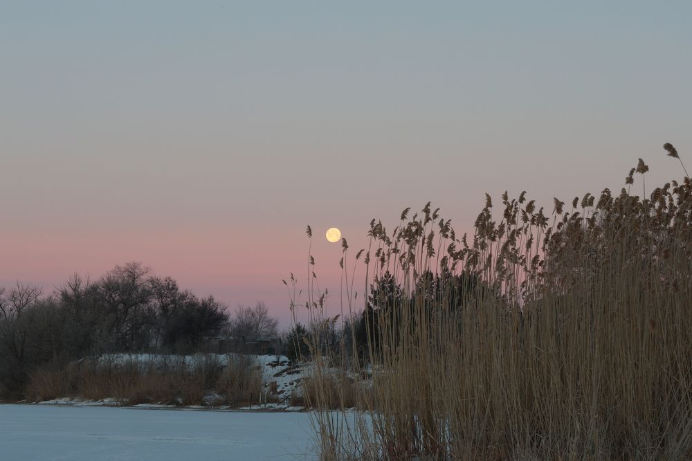 Photograph by Вячеслав Капцов