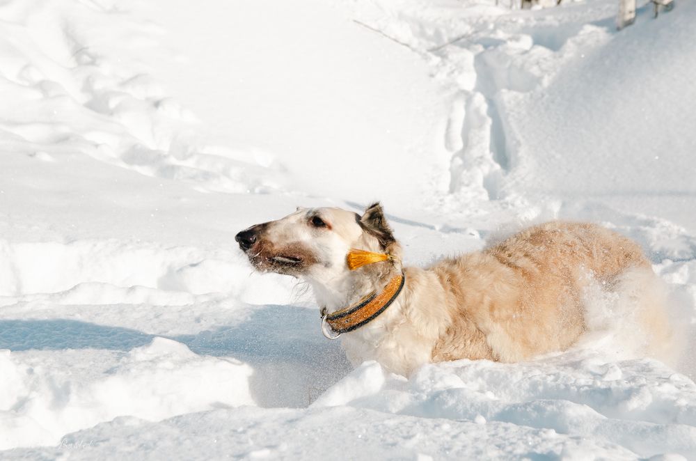 Photograph by Виолетта Бастет