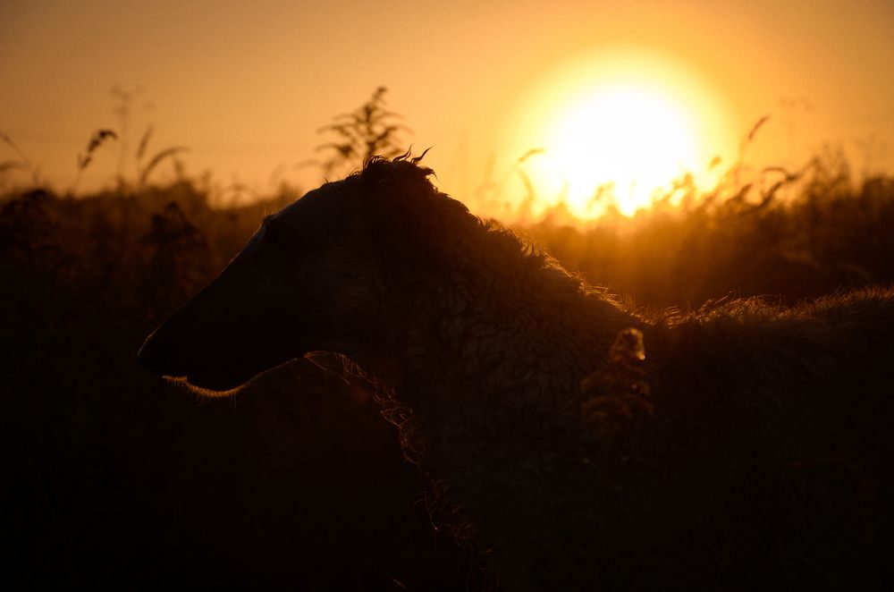 Photograph by Виолетта Бастет