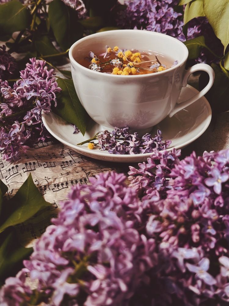 Photograph by Диана Бадеева