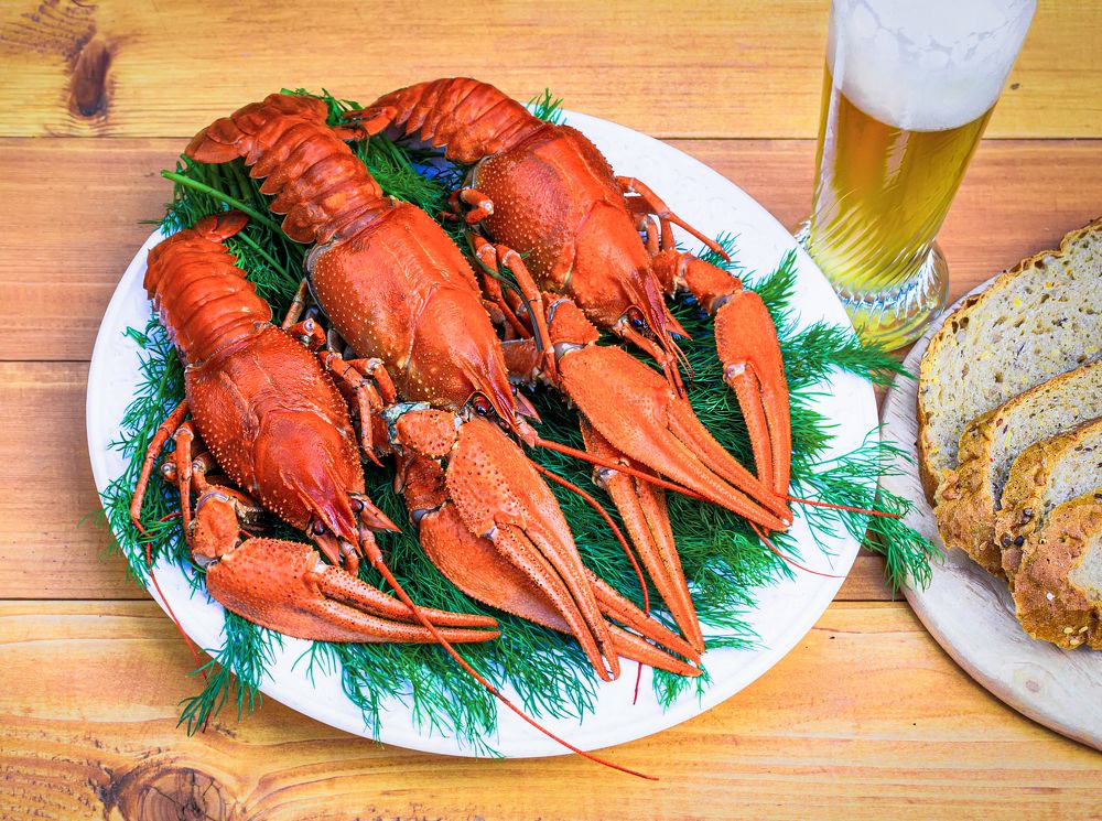 Photograph by Наталья Шелест