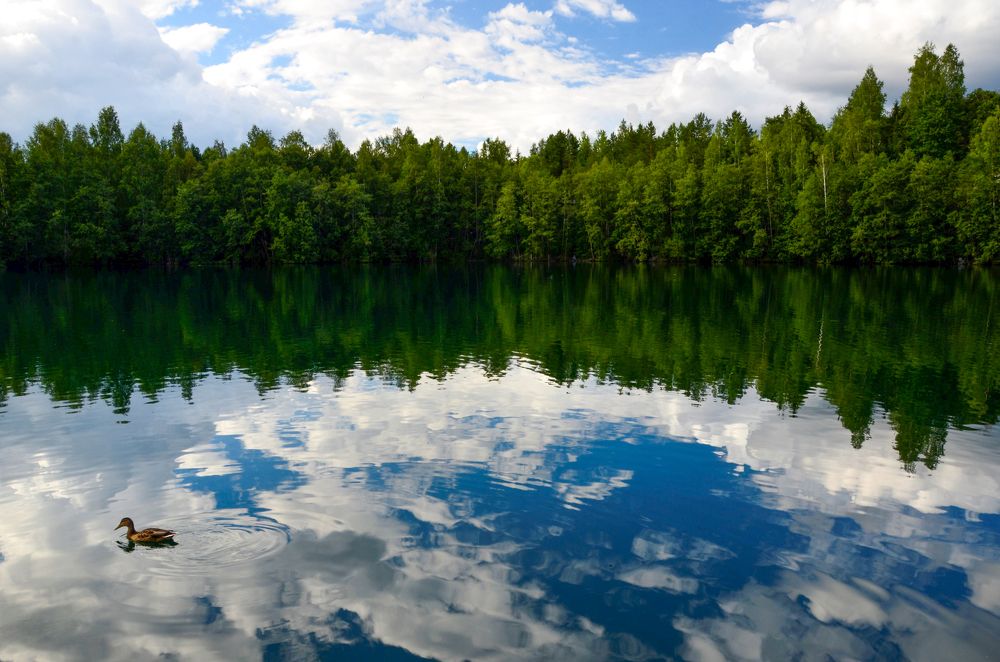 Photograph by Виолетта Бастет