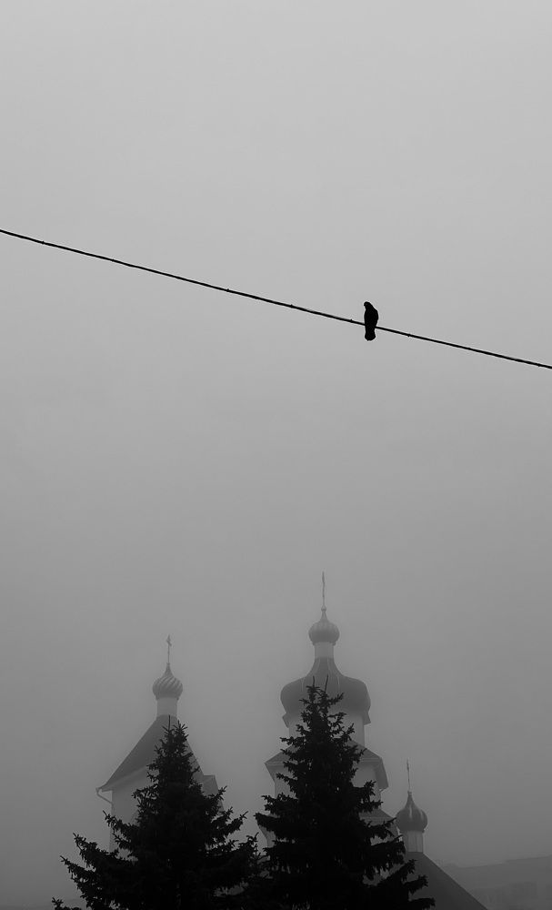 Photograph by Alexey Nuzha