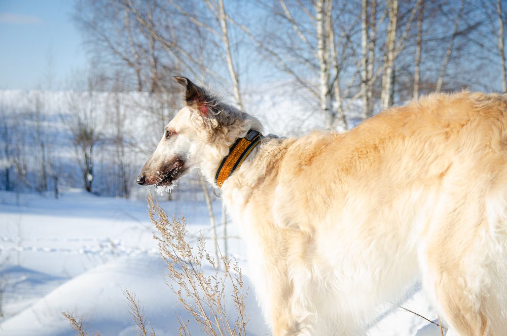 Photograph by Виолетта Бастет