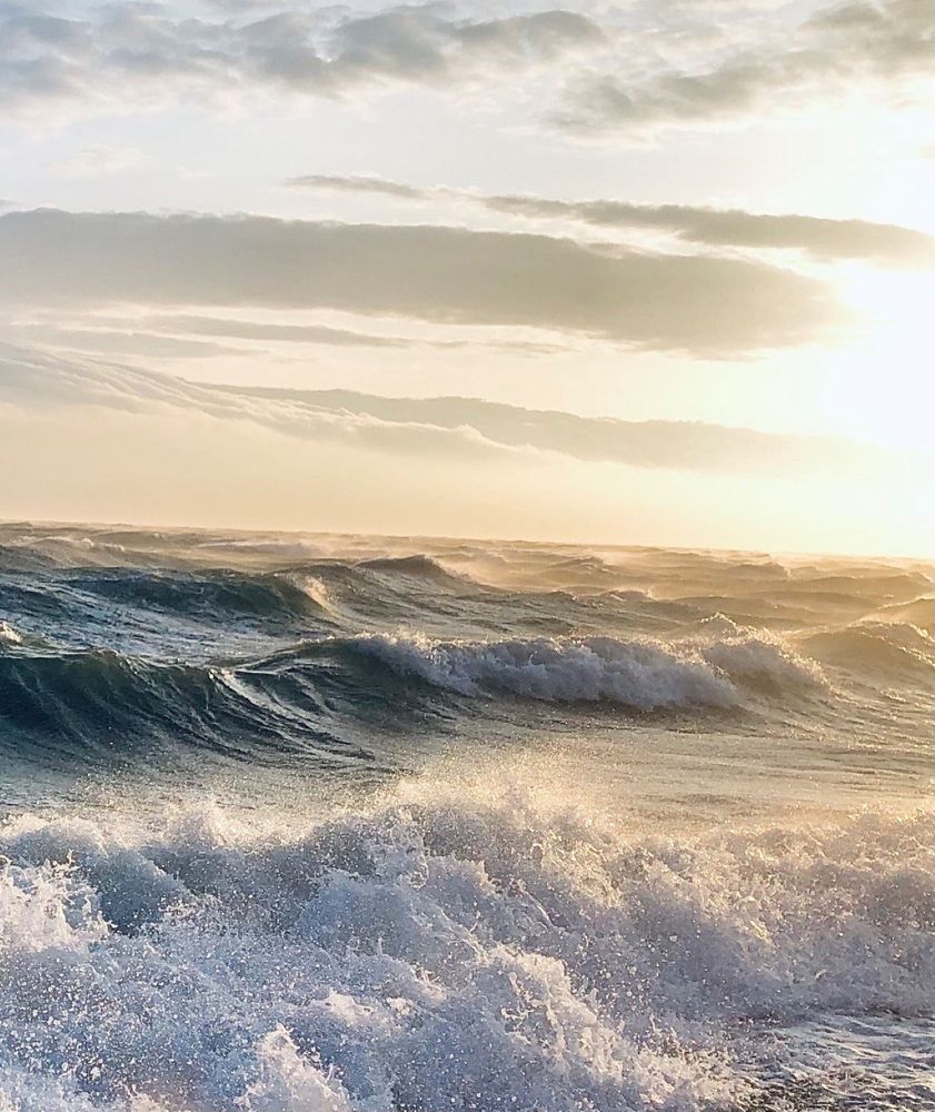 Photograph by Светлана Сычева