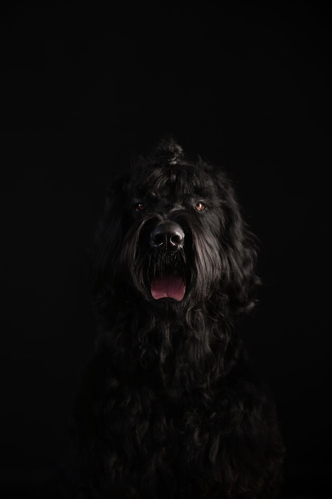 Photograph by Алина Колосова