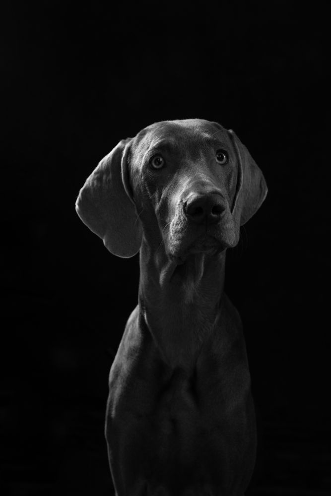 Photograph by Алина Колосова