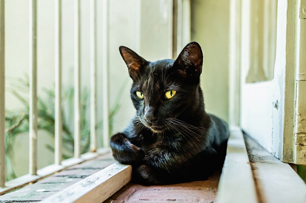 Photograph by Silvana Córdoba