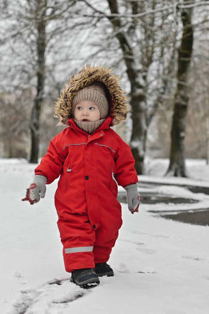 Фотография автора Екатерина Высоцкая