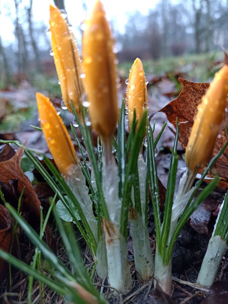 Photograph by Viktoryia М