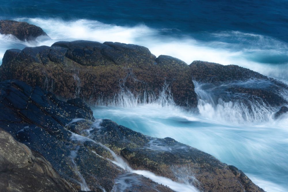 Photograph by Sonnadara Kushan Madushanka