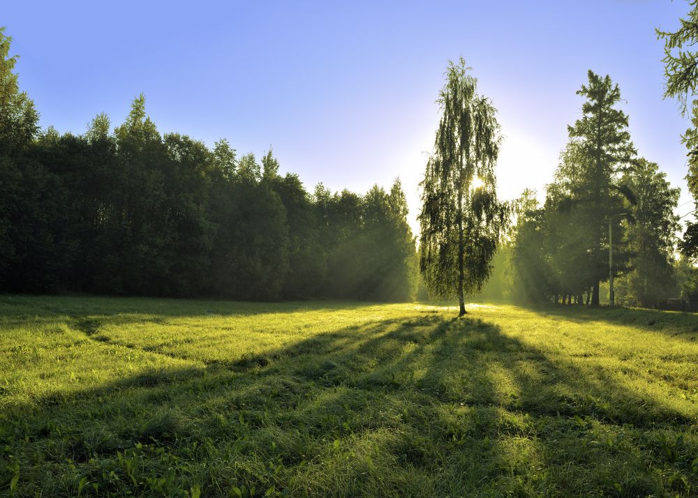 Photograph by Александр Клопков