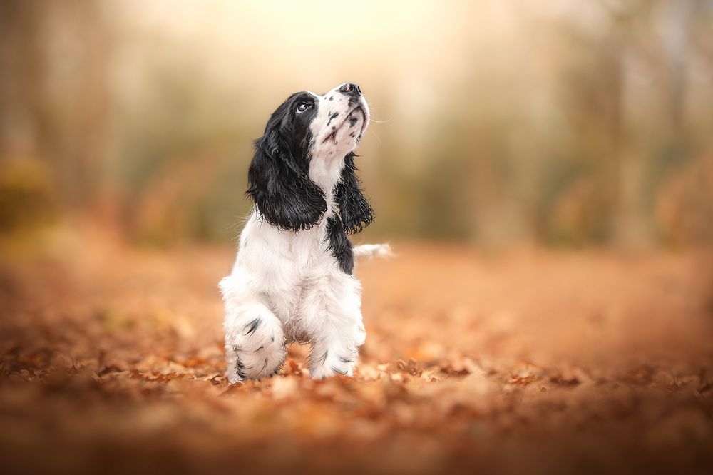 Photograph by Laura Quintanel