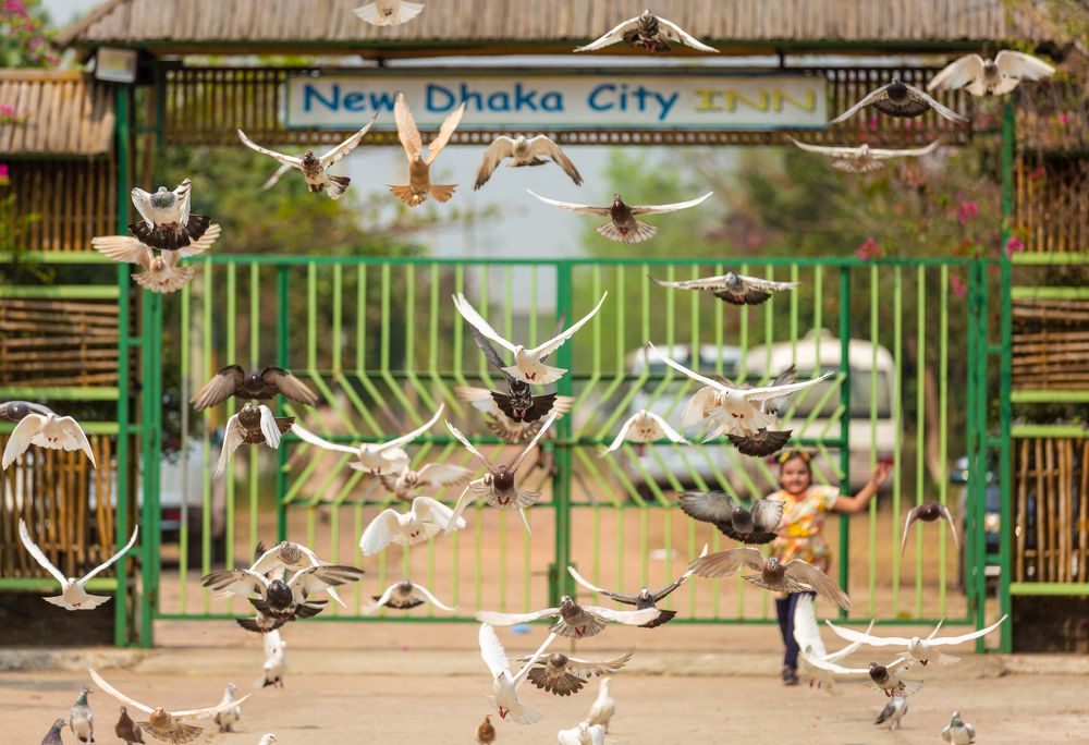 Photograph by Md Matiur Rahman