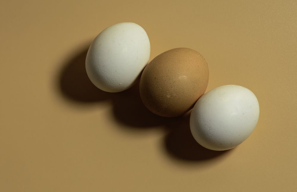 Photograph by Nicole Maria Oestreich