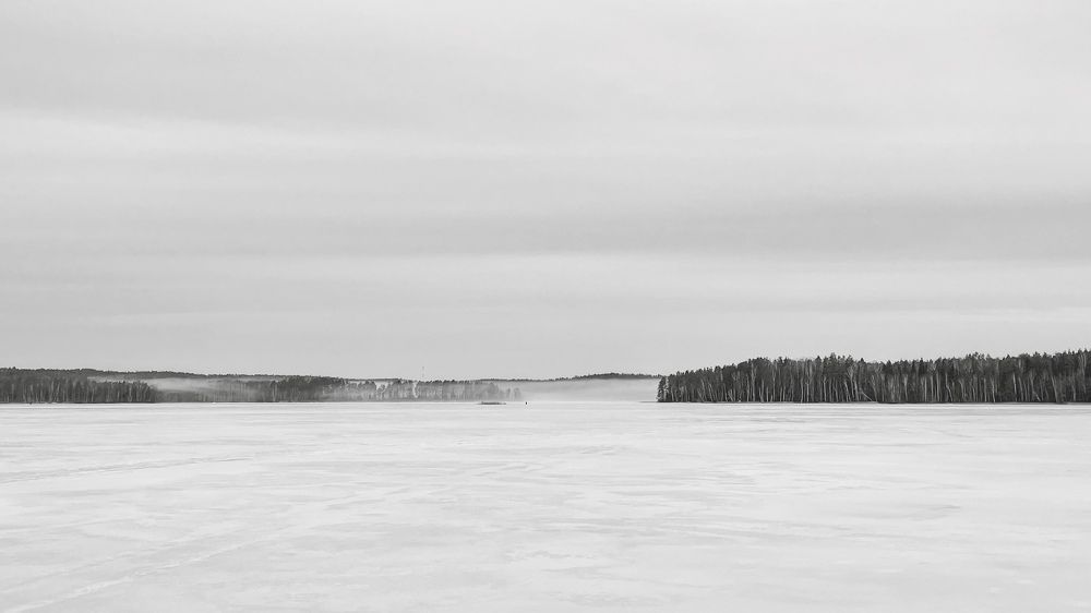 Фотография автора Олеся Шипихина