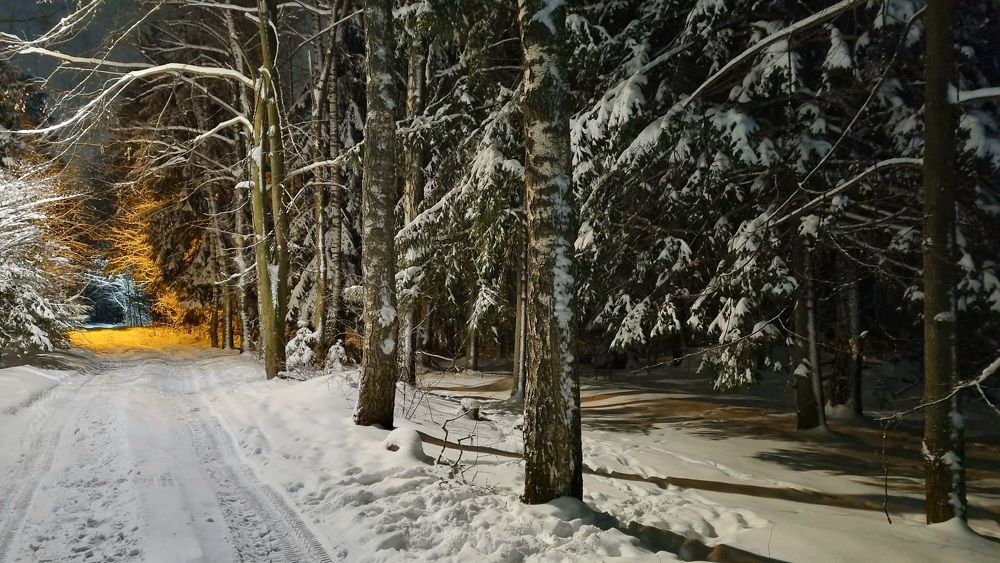 Photograph by Наталья Лягина