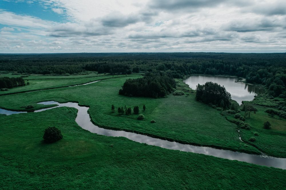 Фотография автора Олеся Шипихина