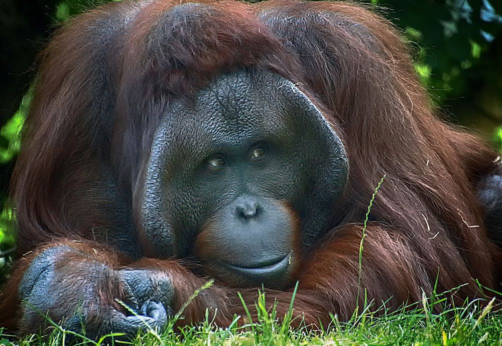 Фотография автора Александр