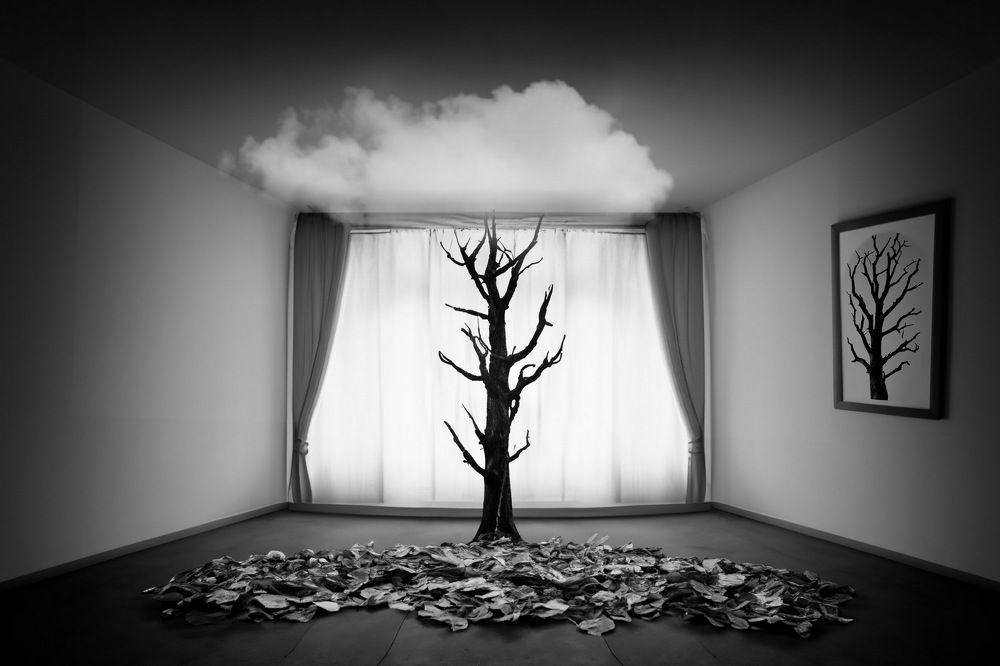 Photograph by nader akbarpour