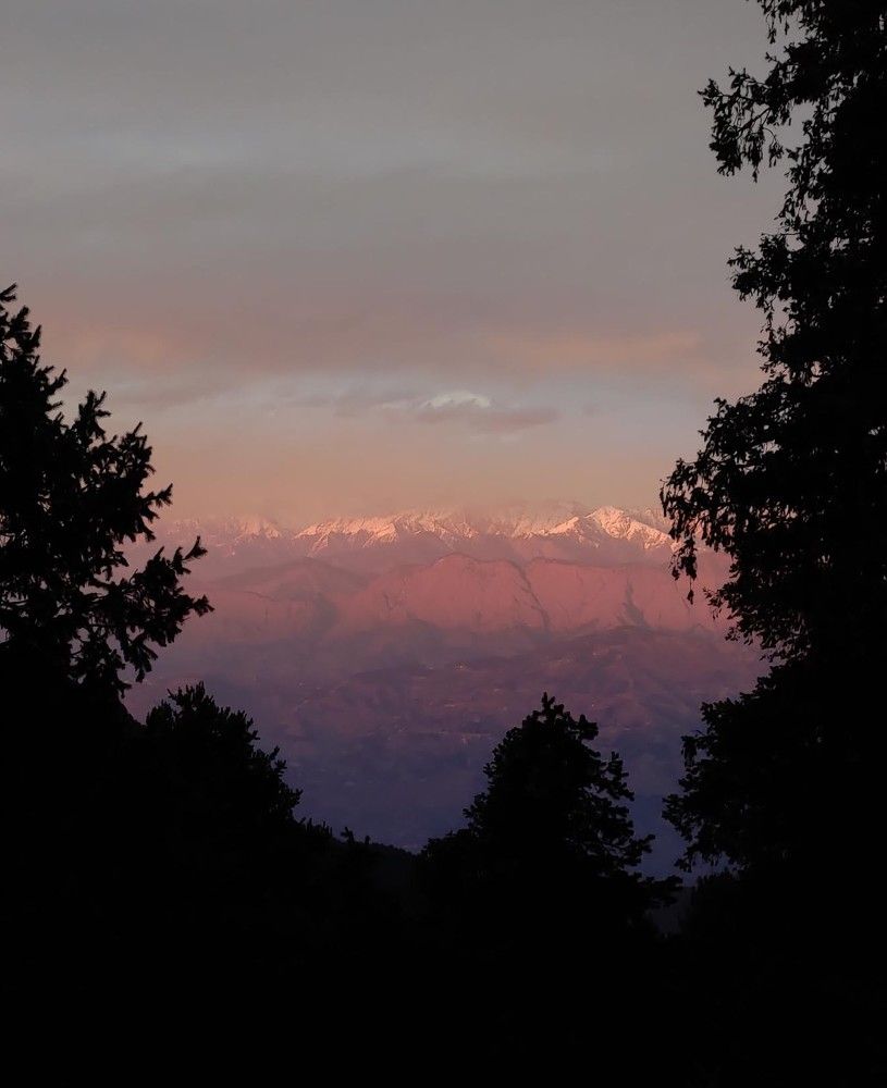Photo #10451075