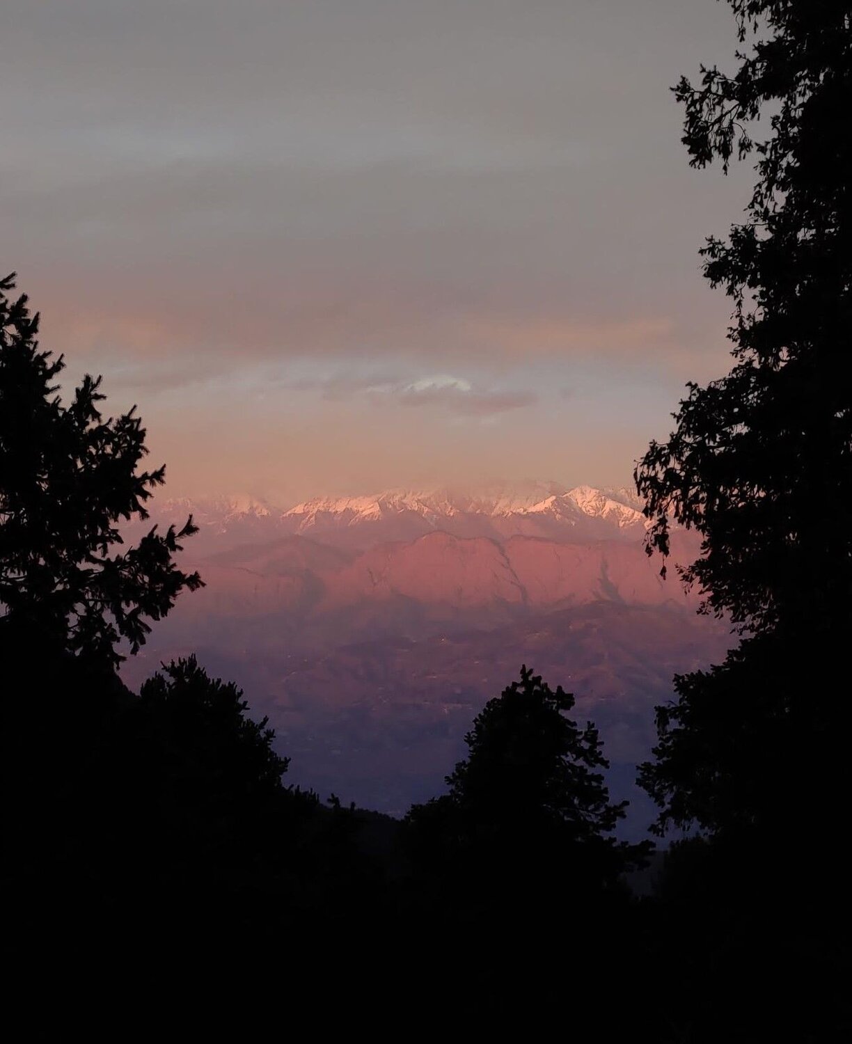 Photo #10451075
