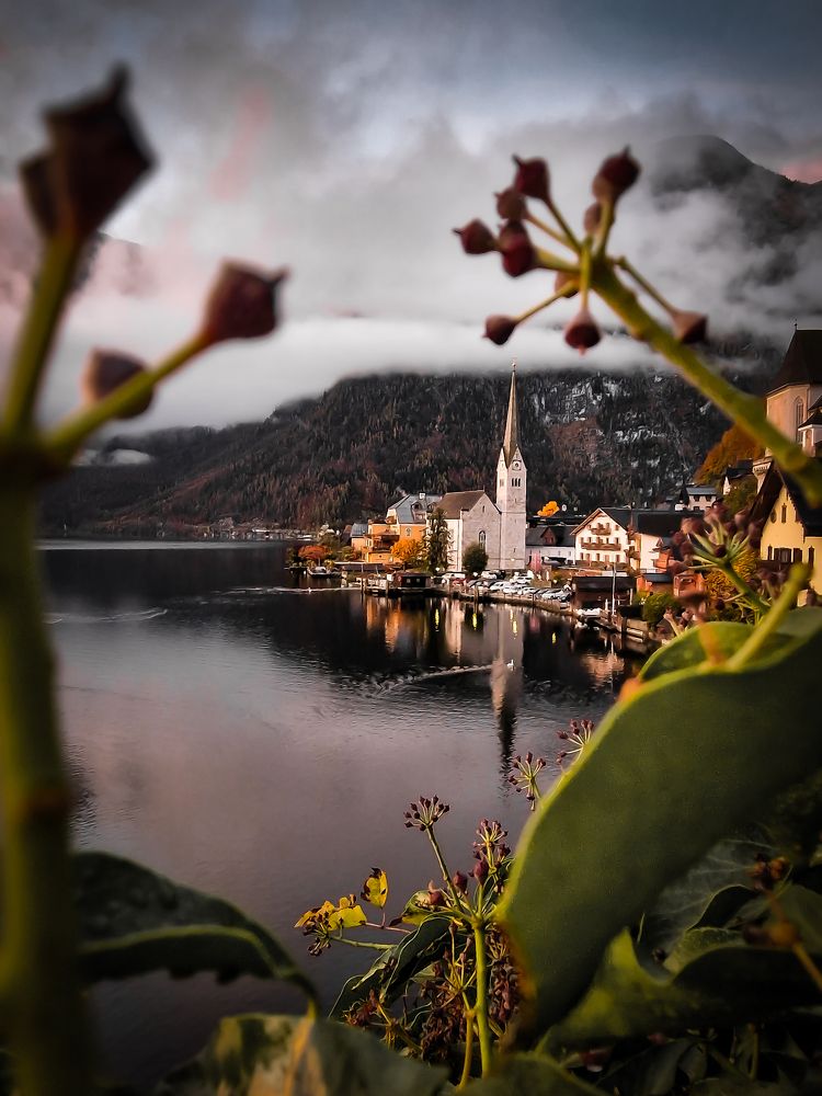 Photograph by Agnieszka Wieczorek