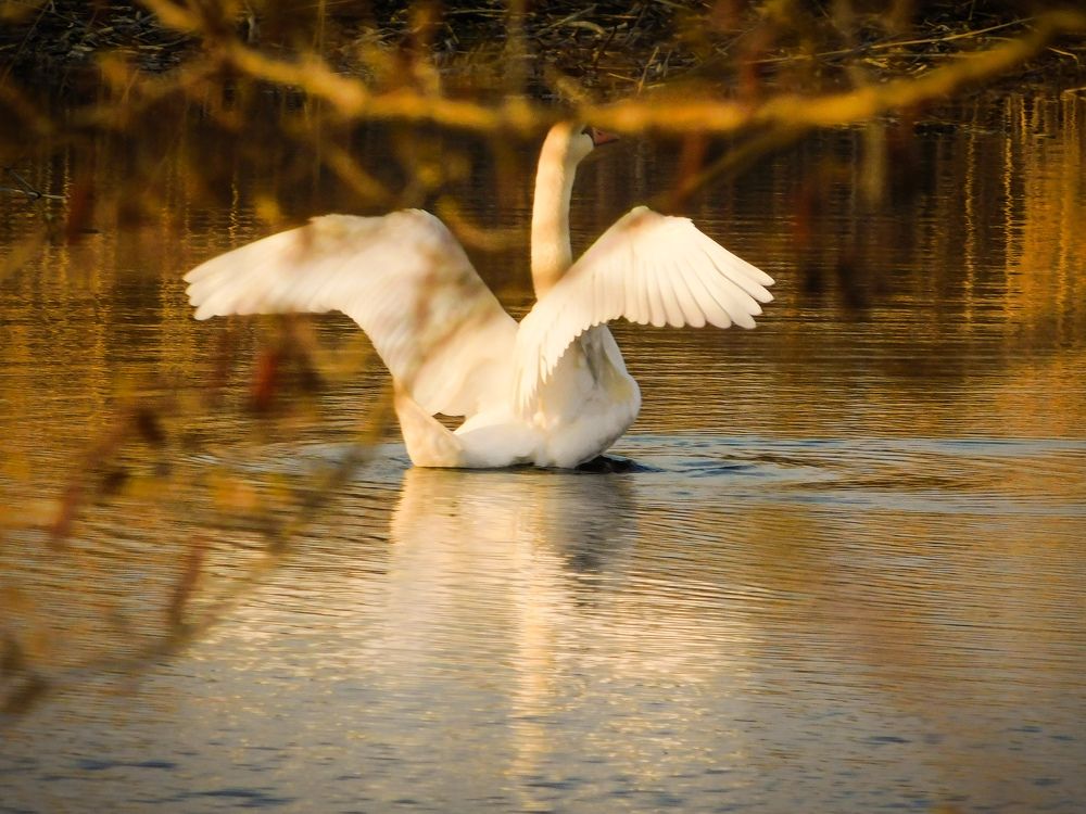 Photograph by Юлия Закопайло