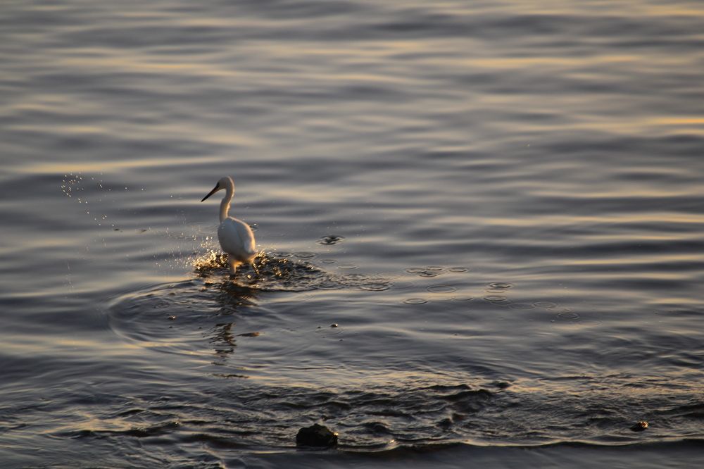 Photograph by Luisa Maria Rosa Alvarez Diaz