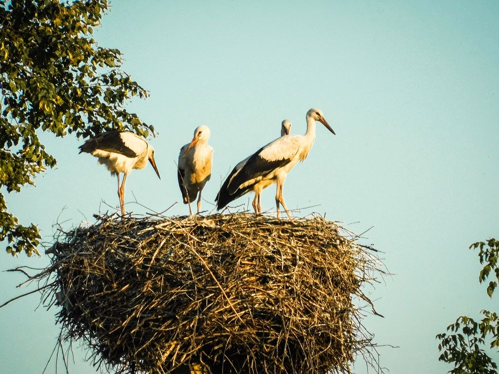 Photograph by Юлия Закопайло