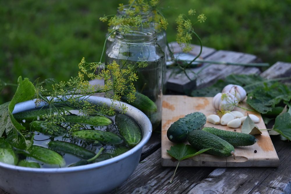 Photograph by Наталья Сергеева