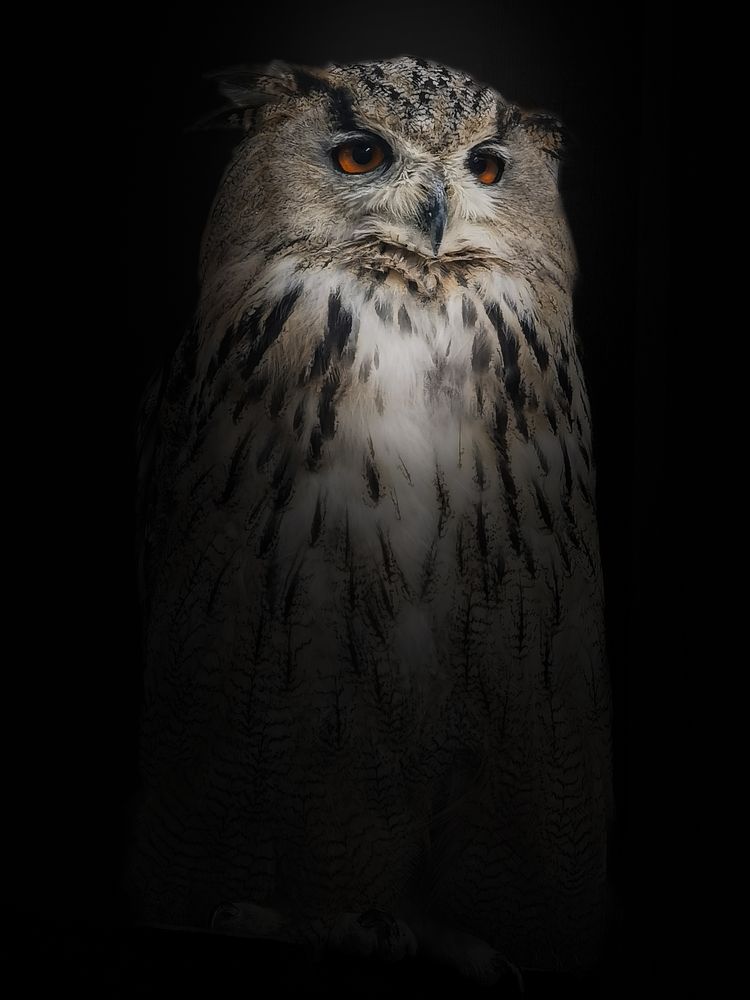 Photograph by Руднев Юрий