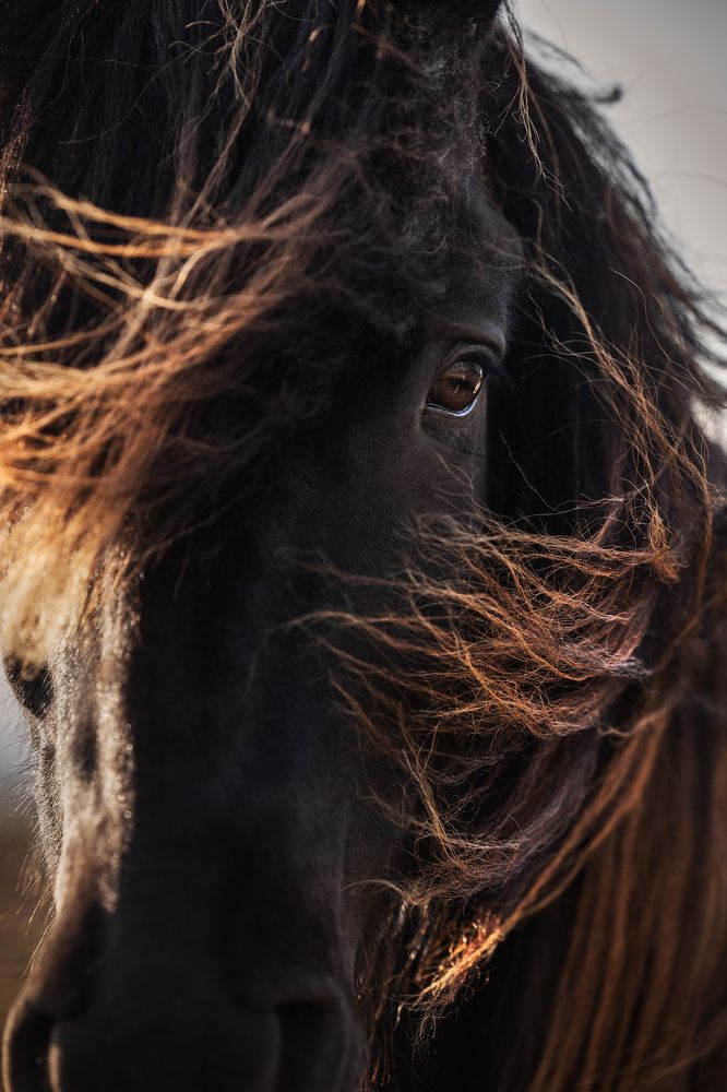 Фотография автора Coralie Mänche