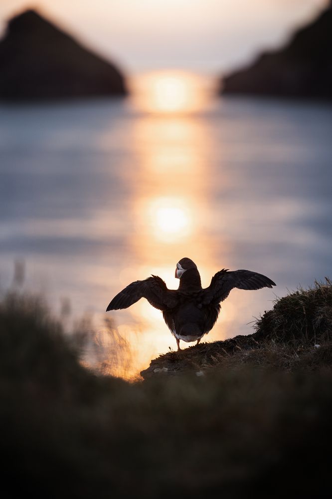 Фотография автора Coralie Mänche