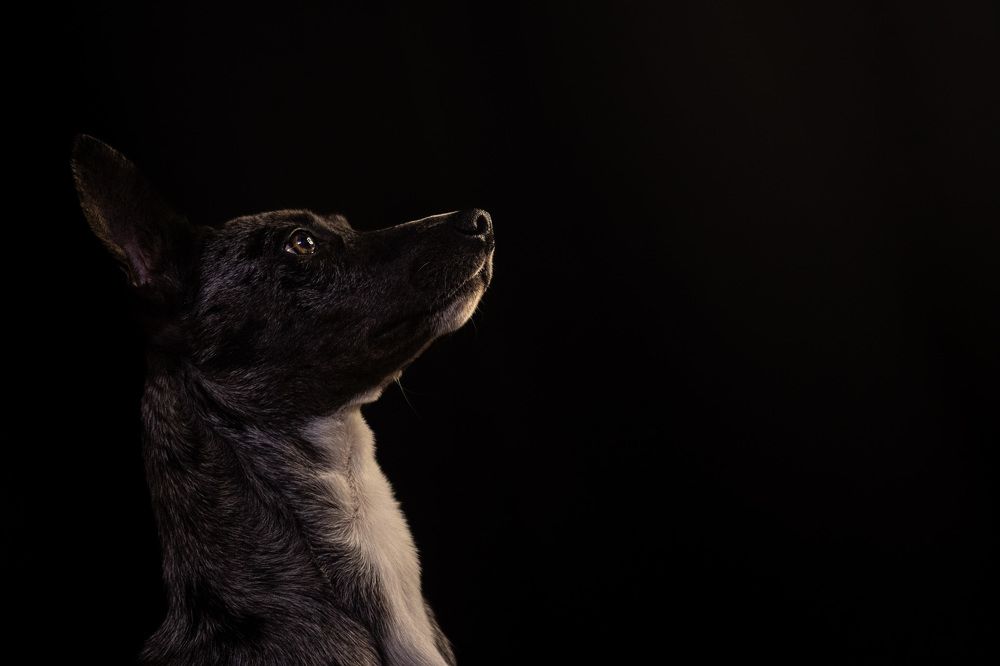 Photograph by Dex Deskins