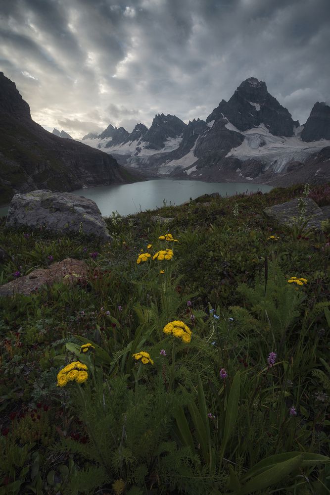 Photograph by maqsood123