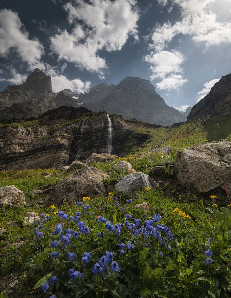 Photograph by maqsood123