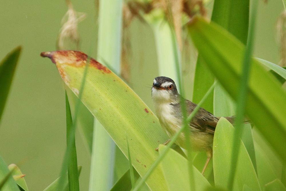 Photograph by Xuan Quyen Nguyen